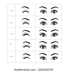 Eyelash Extension Guide. Direction schemes. Tips and tricks for eyelash extension. Infographic