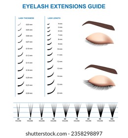 Eyelash Extension Guide. Direction schemes. Tips and tricks for eyelash extension. Infographic