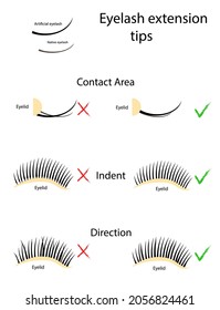 Eyelash extension guide. How to properly apply false eyelash glue. Vector illustration