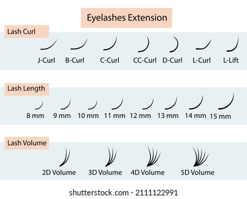 Eyelash Extension Guide Infographic Vector Illustration Stock Vector ...