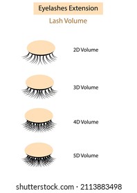 Eyelash extension guide. Lash Volume. Isolated Vector illustration