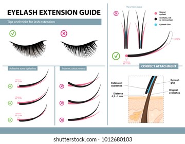 Eyelash+chart Stock Vectors, Images & Vector Art | Shutterstock