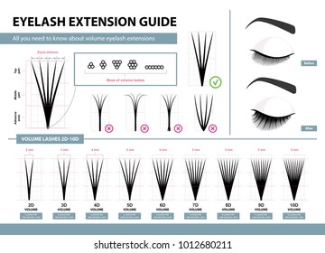 Eyelash extension guide. Volume eyelash extensions. 2D - 10D Volume. Tips and tricks. Infographic vector illustration. Template for Makeup and cosmetic procedures. Training poster 