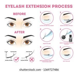 Eyelash Chart Images, Stock Photos & Vectors | Shutterstock