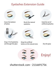 Guía de extensión de Eyelash para la mujer. Infografía. Moda y belleza. Ilustración vectorial aislada en estilo de dibujos animados