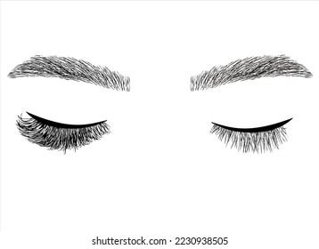 Eyelash extension illustration. Long-lasting styling of the eyebrows. Eyebrow lamination. Professional make-up and face care.