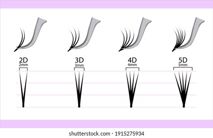 Eyelash extension infographics. Step by step guide. vector illustration