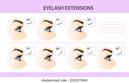 Eyelash extension infographics. Step by step guide. Types of Lash Curls, vector illustration