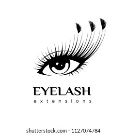 Eyelash extension logo. Makeup with feathers. Vector illustration in a modern style