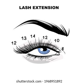 Eyelash extension microblading beauty procedure. Beauty salon treatment, meakeup, self care illustration in vector. Volume lashes  eyelash mapping