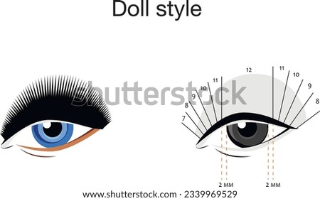 Eyelash extension style. Doll style. 