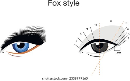 Eyelash extension styles. Fox style.