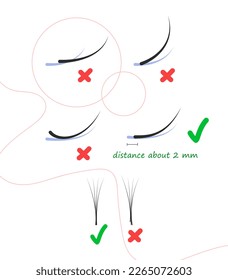 Cartel de entrenamiento de extensión de Eyelash. Consejos y trucos para extensiones de pestañas. información sobre la extensión de pestañas Extensión correcta e incorrecta.