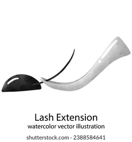 Eyelash Extension, Tweezer, Lash, Eyelashes