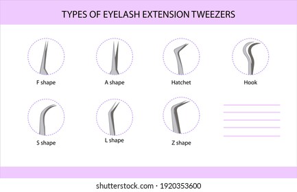 Eyelash extension tweezers types, guide, infographics, vector illustration