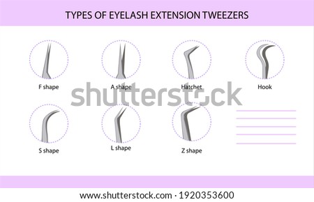 Eyelash extension tweezers types, guide, infographics, vector illustration