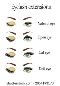 Eyelash Extension types and forms. For Beuty salons. Infographic vector illustration.