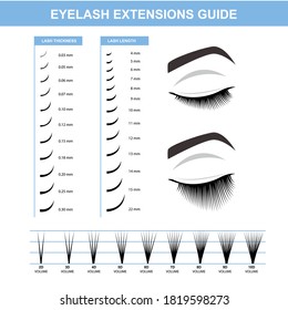 Eyelash extension, Woman's eye with long thick eyelashes. Close-up, selective focus. Leadership. Infographic vector illustration