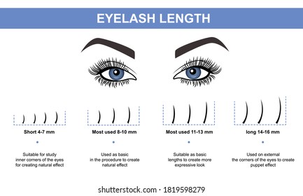 Eyelash extension, Woman's eye with long thick eyelashes. Close-up, selective focus. Leadership. Infographic vector illustration