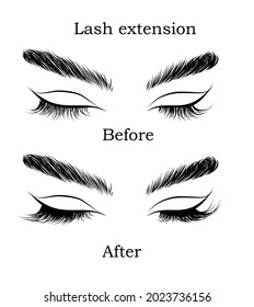 Eyelash extensions be afore and after. Hand drawn detailed illustration of lashes and natural eyebrows