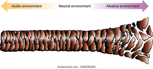 Curso de extensiones de pestañas. Entorno de latigazos. Procedimiento de latigazo. 