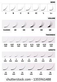 Eyelash extensions, the table, the amount of the length of thickness curve, vector illustration