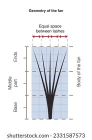 Eyelash fan geometry. Lash fan opening. Volume eyelash extension manual. Lash fans.