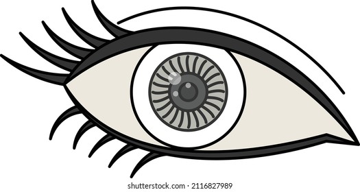 Eyelash with Grey Contact Lens Vector color Icon Design, Organ System Symbol, Human Anatomy Sign, Human Body Parts Stock illustration, Human Eye with lash Concept, 