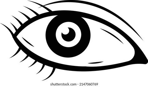 10,686 Eyelash anatomy Images, Stock Photos & Vectors | Shutterstock