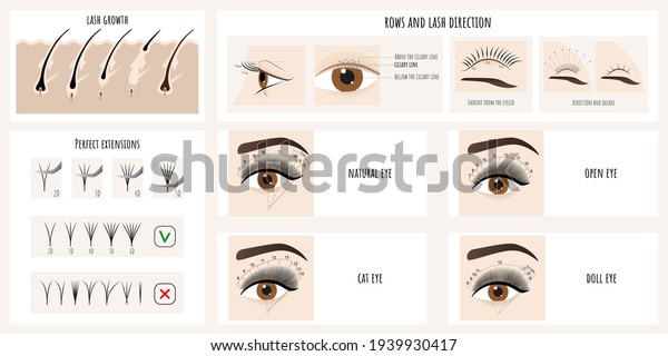 Eyelash\
growth, eyelash extensions types and styles. Illustration with\
instructions and guides for lash masters.\
Vector.