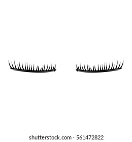 eyelash Icon Vector