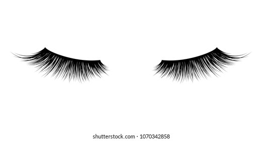 Eyelash or lash vector icons. Vector false long eyelashes for mascara design