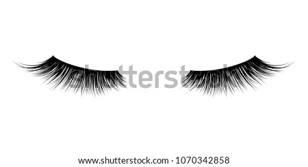 Eyelash or lash vector icons. Vector false long eyelashes for mascara design