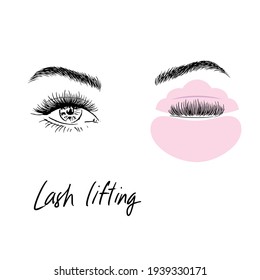 Eyelash lifting. Illustration for the salon.