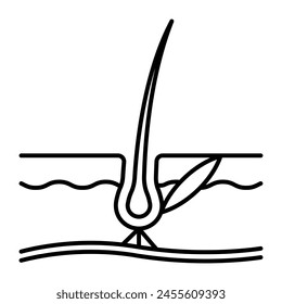 Eyelash, line icon. Eyelash anatomy - hair structure, follicle, hair, skin, muscle, papilla, derma, eyelid. Minimalist linear illustration, editable strokes.