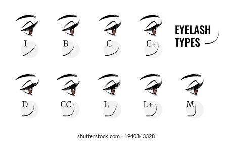 Eyelash types. Curved female eyelashes extension, various length and bend. Profile view of woman eyes with long fake lashes. Isolated models of face makeup. Vector beauty salon service