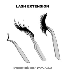 Tipos de pestañas, procedimiento de extensión de pestañas falsas. Ojo de mujer con pestañas largas. Vector Doll Lashes