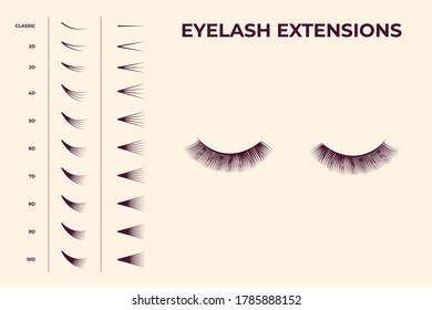 Eyelash volume boost set. Fake eyelashes cluster collection for extension process infographics and guides. Flat vector illustrations