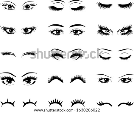 eyelashe vector set collection graphic clipart design