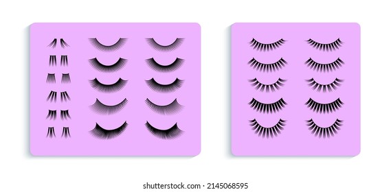 Eyelashes artificial set vector illustration. 3d false eyelash collection for lashmakers design, extensions, lamination and beauty salon print. Isolated on a pink background. Cute female make up card