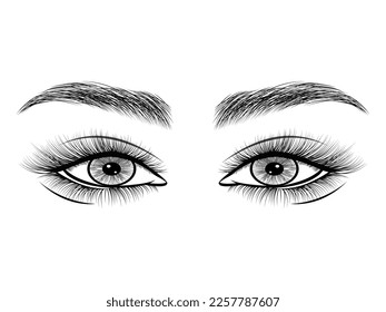 Eyelashes and brow on white background