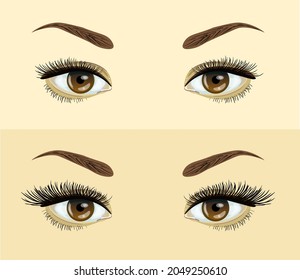 eyelashes extension. . Before and after effect. Beauty open eyes with short and long eyelashes Vector illustration. For salons