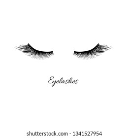 Eyelashes Icon Isolated, Vector Illustration