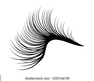 eyelashes icon vector illustration