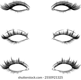 Eyelashes set. Illustration vector of eyelash extensions collection clipart design. Beautiful black long lashes