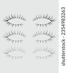 Eyelashes set on white background, girl, salon, vector illustration, mascara, illustration, beauty, eyelash, lash, vector, false, eye, isolated