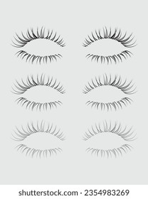 Eyelashes set on white background, vector illustration, eyelash, lash, vector, false, eye, isolated, illustration, mascara, beauty, girl, salon