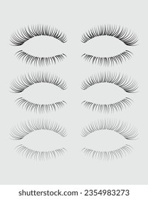 Eyelashes set on white background, girl, salon, vector illustration, mascara, beauty, eyelash, lash, vector, false, eye, isolated, illustration