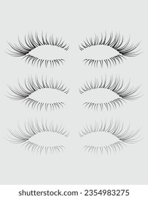 Eyelashes set on white background, girl, salon, mascara, illustration, beauty, eyelash, lash, vector, false, eye, isolated, vector illustration