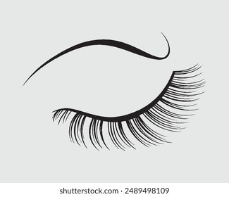 Eyelashes set on white background, Professional glamor makeup, Flat style with hand drawn lashes and brow, Bottled eyelashes of girls.eps
